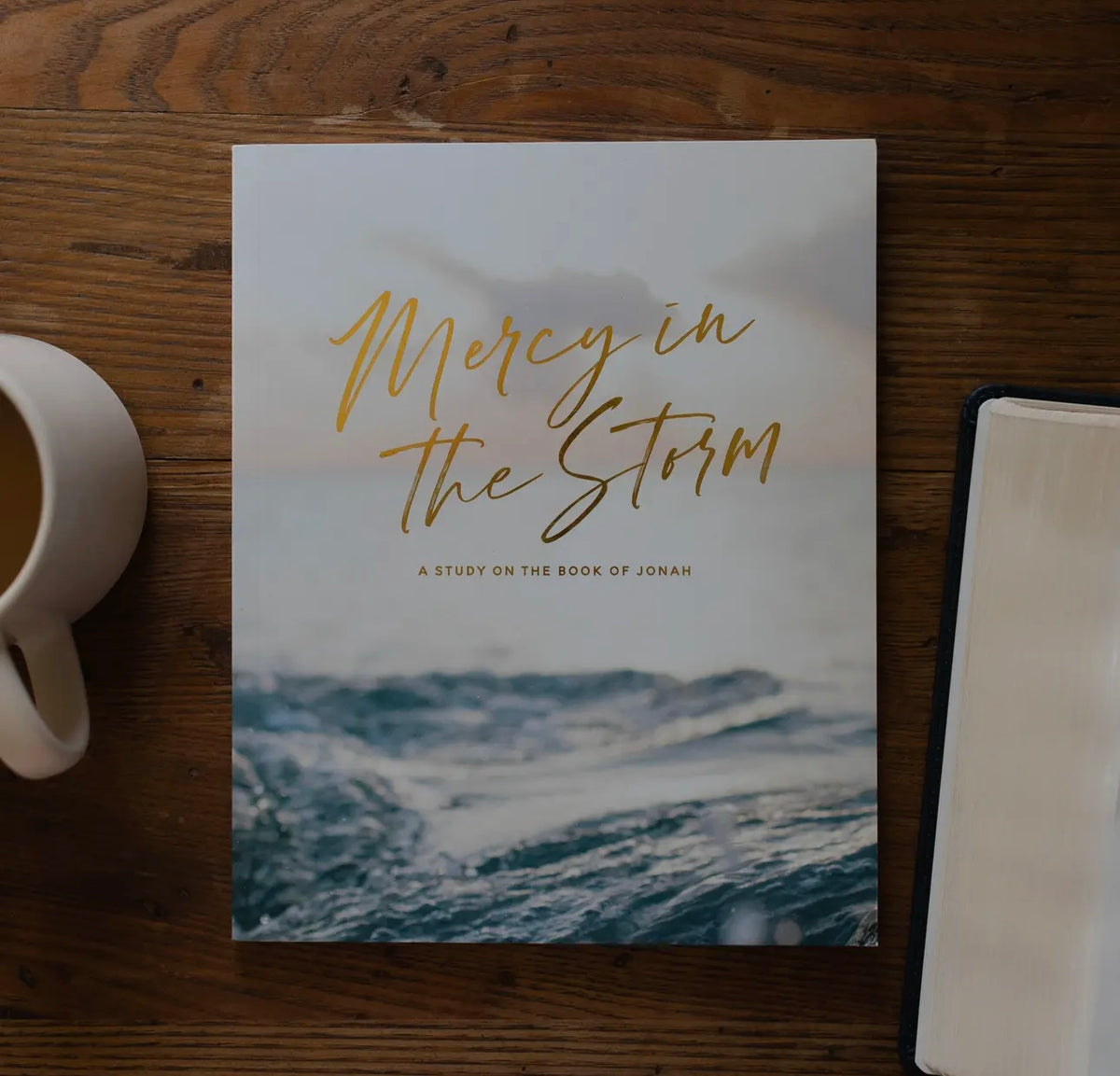 Mercy in the storm devotional