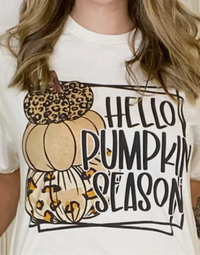 Hello Pumpkin Season
